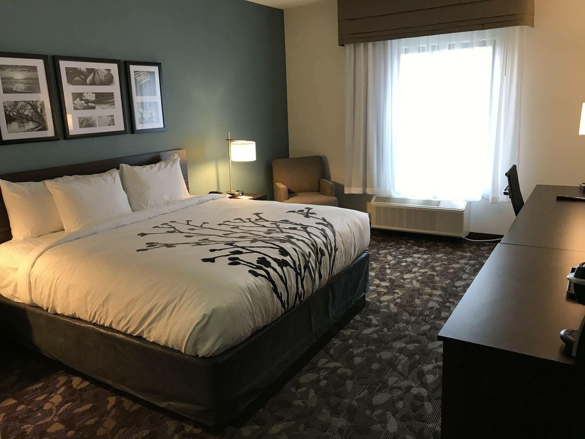 Sleep Inn&Suites Middletown - Goshen Buitenkant foto